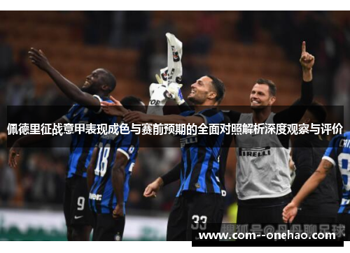 佩德里征战意甲表现成色与赛前预期的全面对照解析深度观察与评价