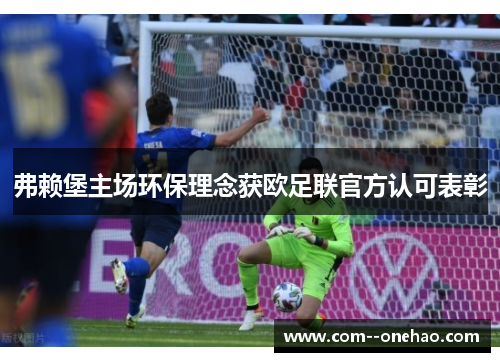 弗赖堡主场环保理念获欧足联官方认可表彰