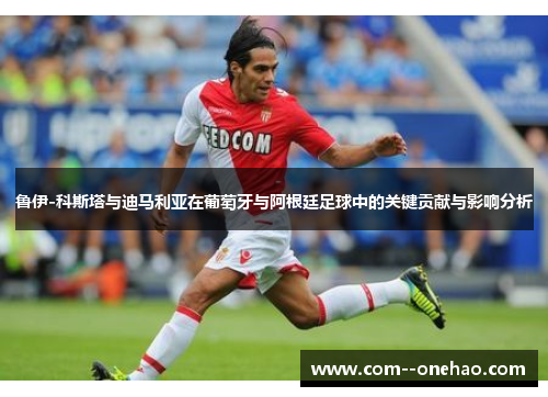 鲁伊-科斯塔与迪马利亚在葡萄牙与阿根廷足球中的关键贡献与影响分析